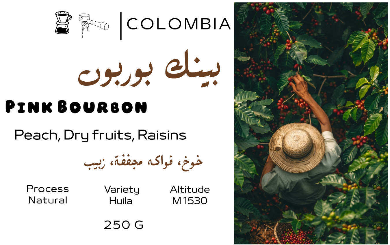Zerno Roastery | Colombia Pink Bourbon