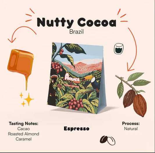 Arvel Brazil nutty cocoa