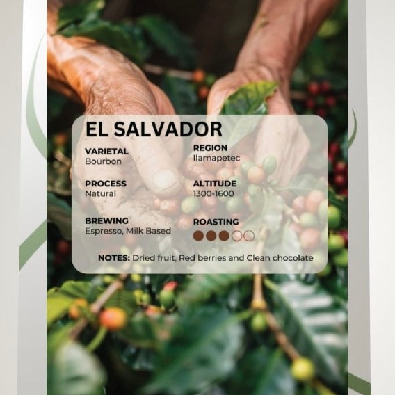 Alico roastery | El salvador