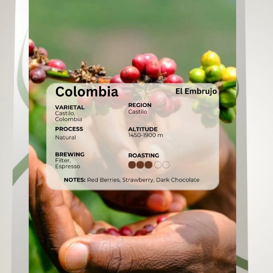 Alico roastery | Colombia - El Embrujo Mr. Hat