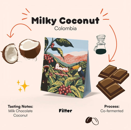 Milky coconut |  Arvel Roastery