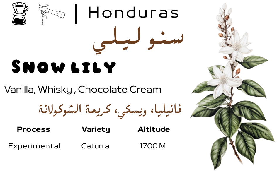 Zerno Roastery  | Honduras Snow Lily
