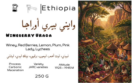 Zerno Roastery | Wineberry Uraga